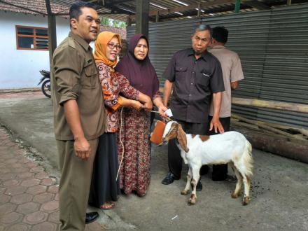 PEMBAGIAN KAMBING BERGULIR